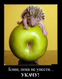 Демотиваторы 