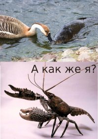 Двуглавый шестилап и другие прелести с конкурса "Не может быть!"