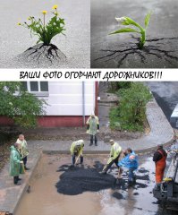 Сила жизни 