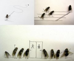 Эти иллюстрации позабавней будут