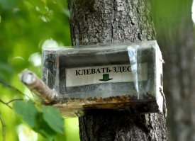 Кормушка для синиц