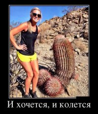 Просто истерика у чувака.