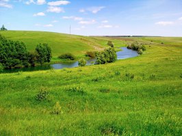 Бабушка рассказывала, в деревне Гаи Рязанской области , на берегу Дона стоял спиртзавод. Там случилась авария и спирт вылился в реку, мужики вёдрами водку таскали потом .