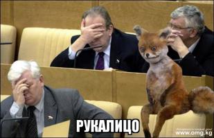 Вымыл его с шампунем, посушил феном