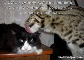 Мужчины и женщины ,мужья и жёны- взгляд со стороны 