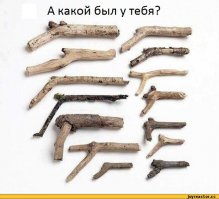 Таже тема
