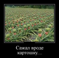 29 фотографий, доказывающих, что жизнь на этой планете удивительна