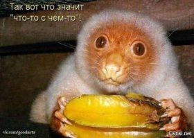 29 фотографий, доказывающих, что жизнь на этой планете удивительна