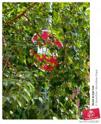 Самый эффективный способ это разогнать ГИБДД на корню, что бы исчезла эта система, когда постовой отстегивает нач. участка, а нач. участка заносит товарищу генералу. Набрать новых, они опять начнут этим заниматься, всех посадить, набрать новых, 30 % так и не поймут - посадить, добрать ещё 30% - получив нормальное ГИБДД.

И вот имея дорожную полицию, которая ставит своей целью безопасность движения, уже можно о чем то таком размышлять. А сейчас основная цель существования ГИБДД - вымогательство денег, по этому никаких вам граждане четких разметок и ясно видимых дорожных знаков - всегда будет вот так