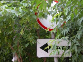 Самый эффективный способ это разогнать ГИБДД на корню, что бы исчезла эта система, когда постовой отстегивает нач. участка, а нач. участка заносит товарищу генералу. Набрать новых, они опять начнут этим заниматься, всех посадить, набрать новых, 30 % так и не поймут - посадить, добрать ещё 30% - получив нормальное ГИБДД.

И вот имея дорожную полицию, которая ставит своей целью безопасность движения, уже можно о чем то таком размышлять. А сейчас основная цель существования ГИБДД - вымогательство денег, по этому никаких вам граждане четких разметок и ясно видимых дорожных знаков - всегда будет вот так