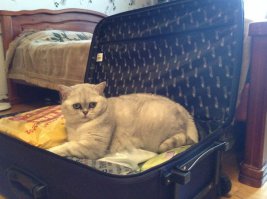 А вот наша Дусечка. Кстати, добавляйтесь к ней в друзья!