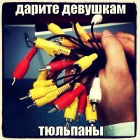 Какое это имеет отношение именно к АВТОприколам?