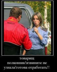 Лучшая половина российской полиции