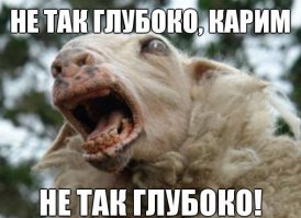 Смешные комментарии из социальных сетей 05.04.15