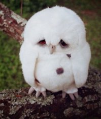 Нуу, у самокатчика и ребёнка на горке просто мозга не хватило, как-то не жалко мне таких. Фигуристы тоже сами виноваты - мужичонка хлипкий, надо свои силы оценивать правильно. У девы на шесте да, неприятно и обидно вышло, а упавшая кошка - это пздц, вот где реальная печаль Т_Т