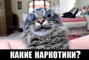 Подборка пятничных демотиваторов