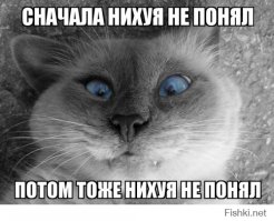 Мой кот похоже сломался!
