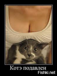  Необычный взгляд