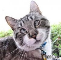 Фотоподборка за 28.04.2015