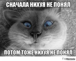 20 тортов на окончание учёбы, которые явно провалили бы экзамены