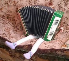 Баяны