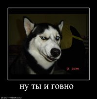 Фотоподборка за 04.03.2015