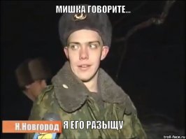 Очень умный кот