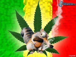 Укуренная белка: