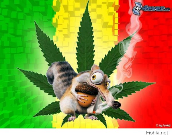 Укуренная белка: