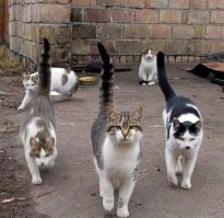  Разборки на районе 