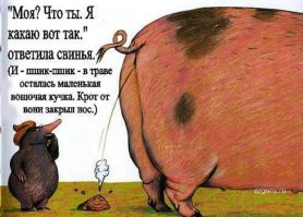 Говно перфекциониста: