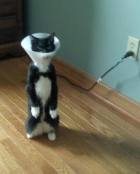 Молодость вспомнила