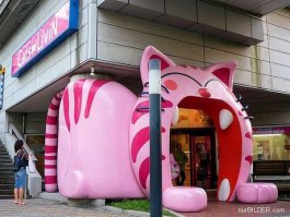 А магазин в кошке видали?