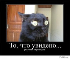 Японская няша оказалась фальшивой