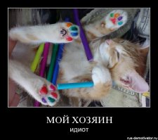 Безумный фотограф фарширует свои волосы окружающими его предметами