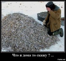 Экзотический улов в сетях рыболовного траулера