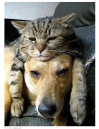 Половина вчера было,только с другими описаниями.Ну тогда и это