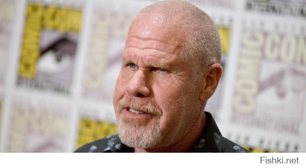 Из солянки от 19.12.2014