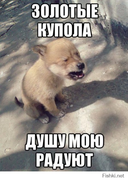 Из солянки от 24.01.2015