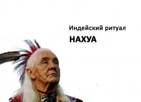 И 201 150 рублей транспортного налога в Питере. Без каски.