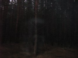 Просто сфоткал природу