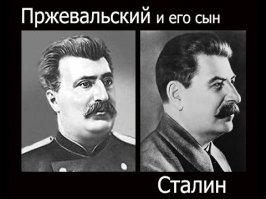 56 примеров забавного и неожиданного сходства