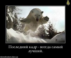 Девять потрясающих снимков
