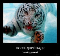Девять потрясающих снимков