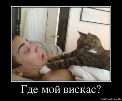 10 очаровательных животных, о чьих способностях вы даже не догадывались 