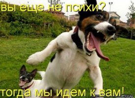 День психически больных – 14 февраля