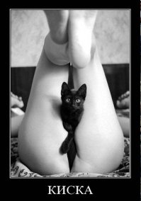 10 очаровательных животных, о чьих способностях вы даже не догадывались 