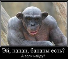 10 очаровательных животных, о чьих способностях вы даже не догадывались 