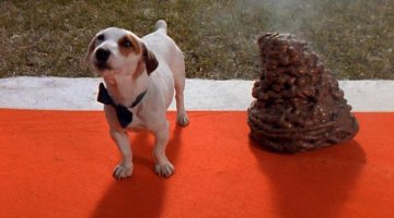 Ждемс продолжение, после того как щенок тоже оформит свой первый подарок на кровать девушки.