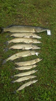 А я больше так люблю на рыбок смотреть.